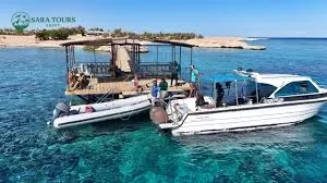 Dolphin House Speedboat Trip - Hurghada